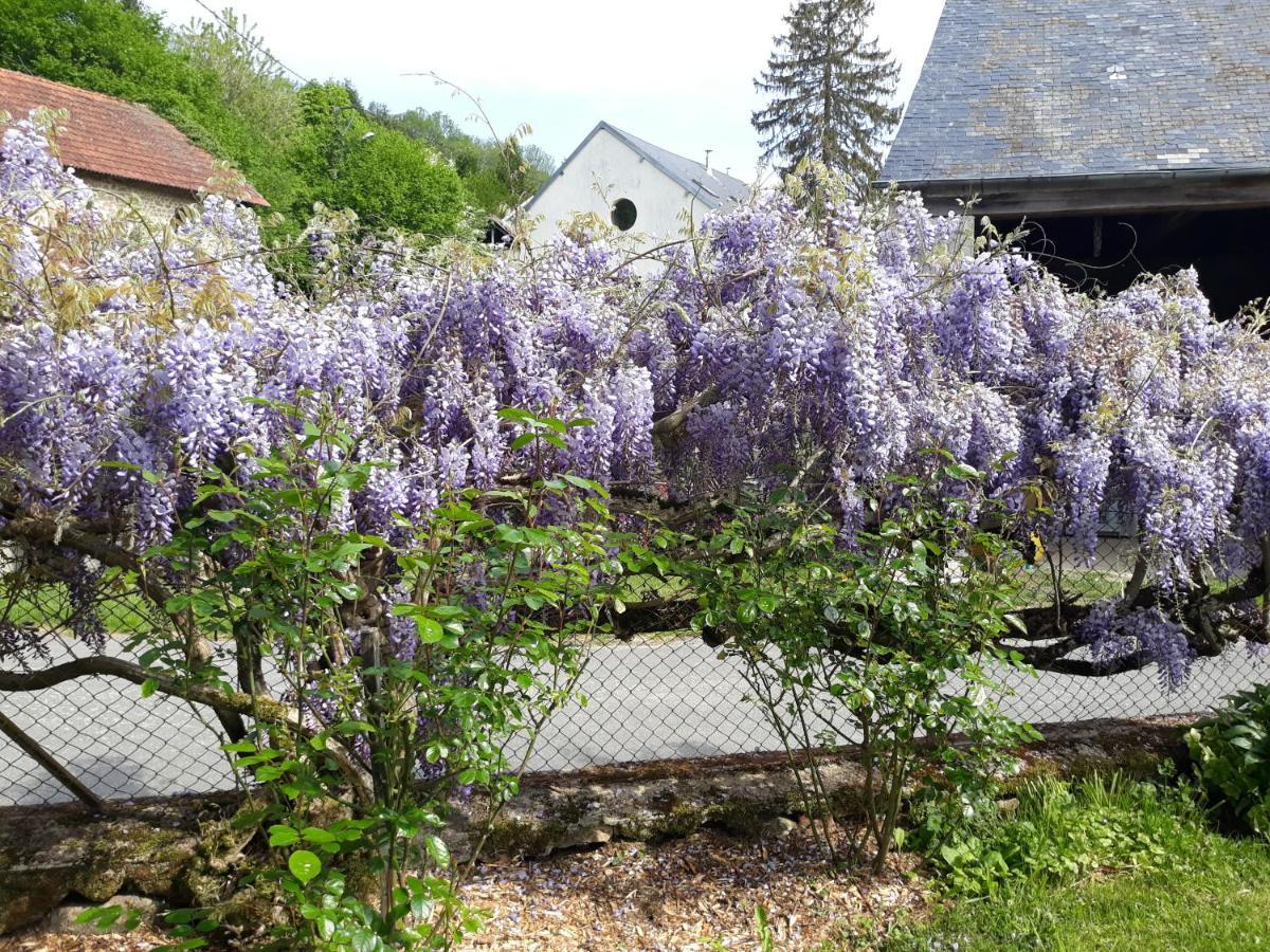 Village de Vie Saint-Vaury Eksteriør billede
